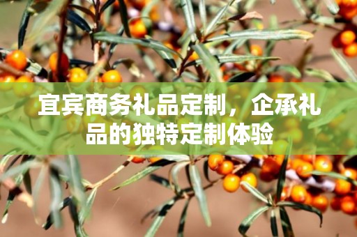 宜宾商务礼品定制，企承礼品的独特定制体验